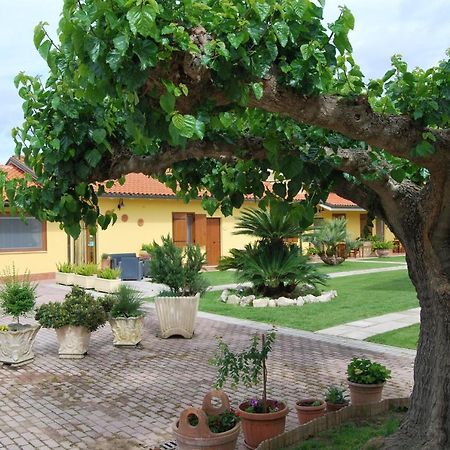 Le Terre Di Bac Bed & Breakfast Borgo Montenero ภายนอก รูปภาพ