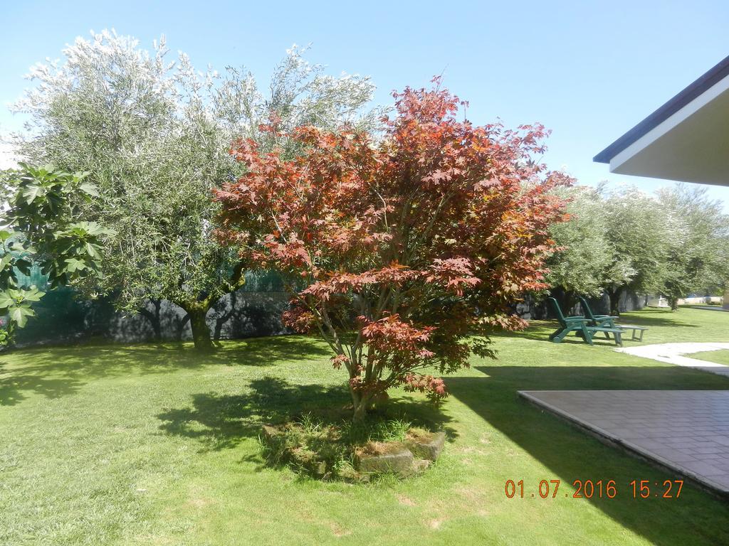 Le Terre Di Bac Bed & Breakfast Borgo Montenero ภายนอก รูปภาพ