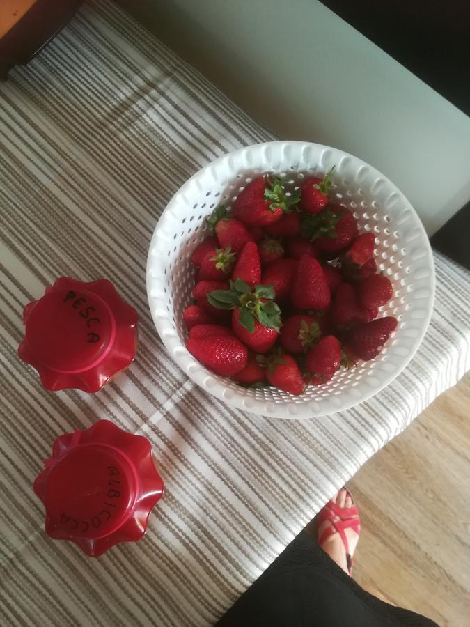 Le Terre Di Bac Bed & Breakfast Borgo Montenero ภายนอก รูปภาพ