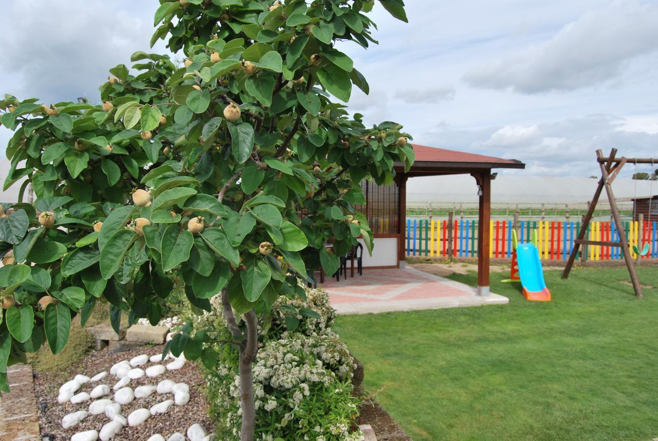 Le Terre Di Bac Bed & Breakfast Borgo Montenero ภายนอก รูปภาพ