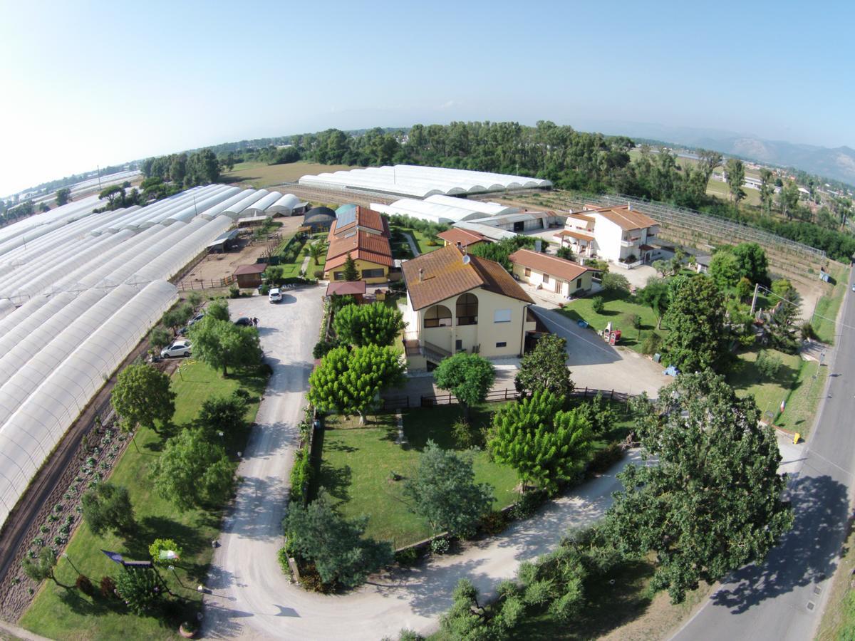 Le Terre Di Bac Bed & Breakfast Borgo Montenero ภายนอก รูปภาพ